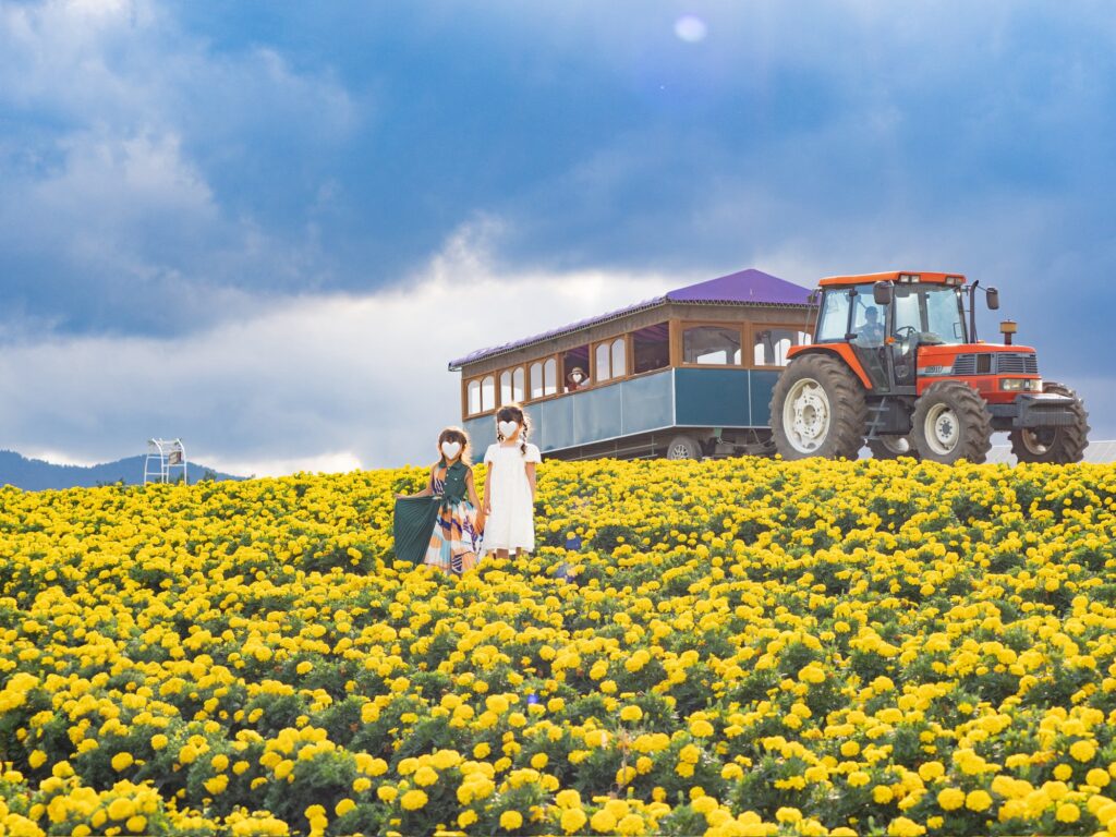 フラワーランドかみふらの