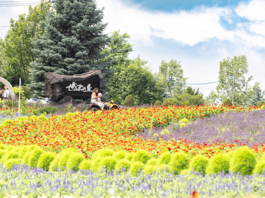 バギー乗車の写真