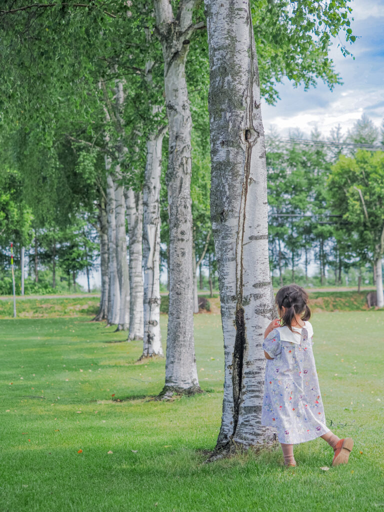 白樺の木と長女