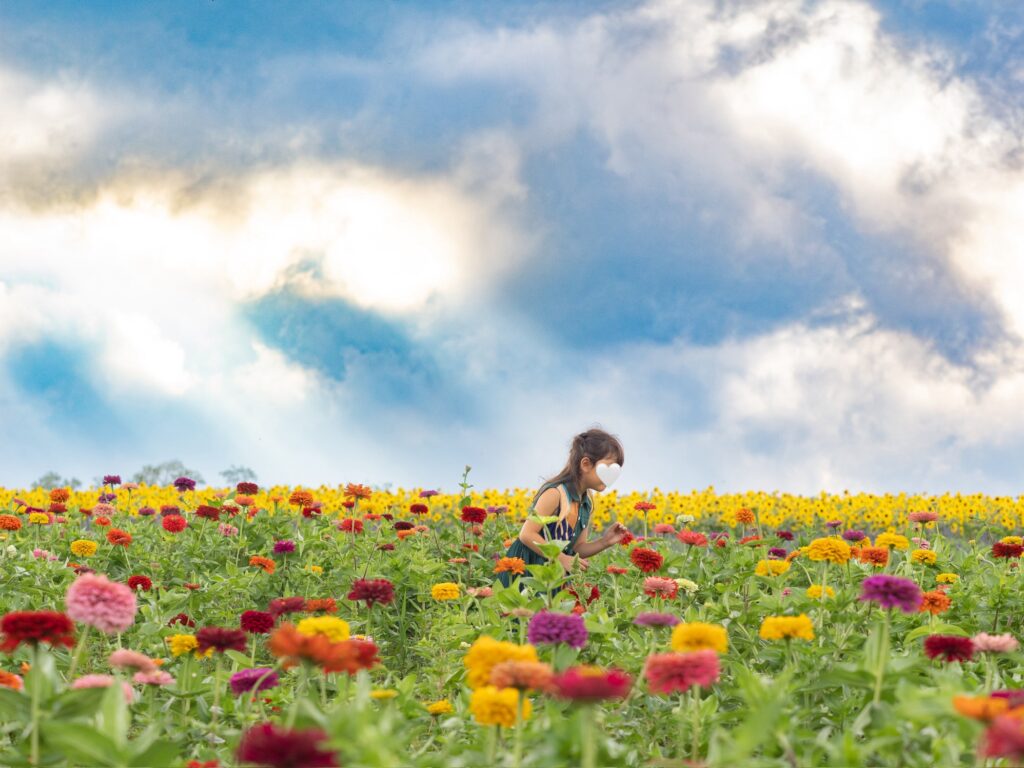 フラワーランドかみふらの