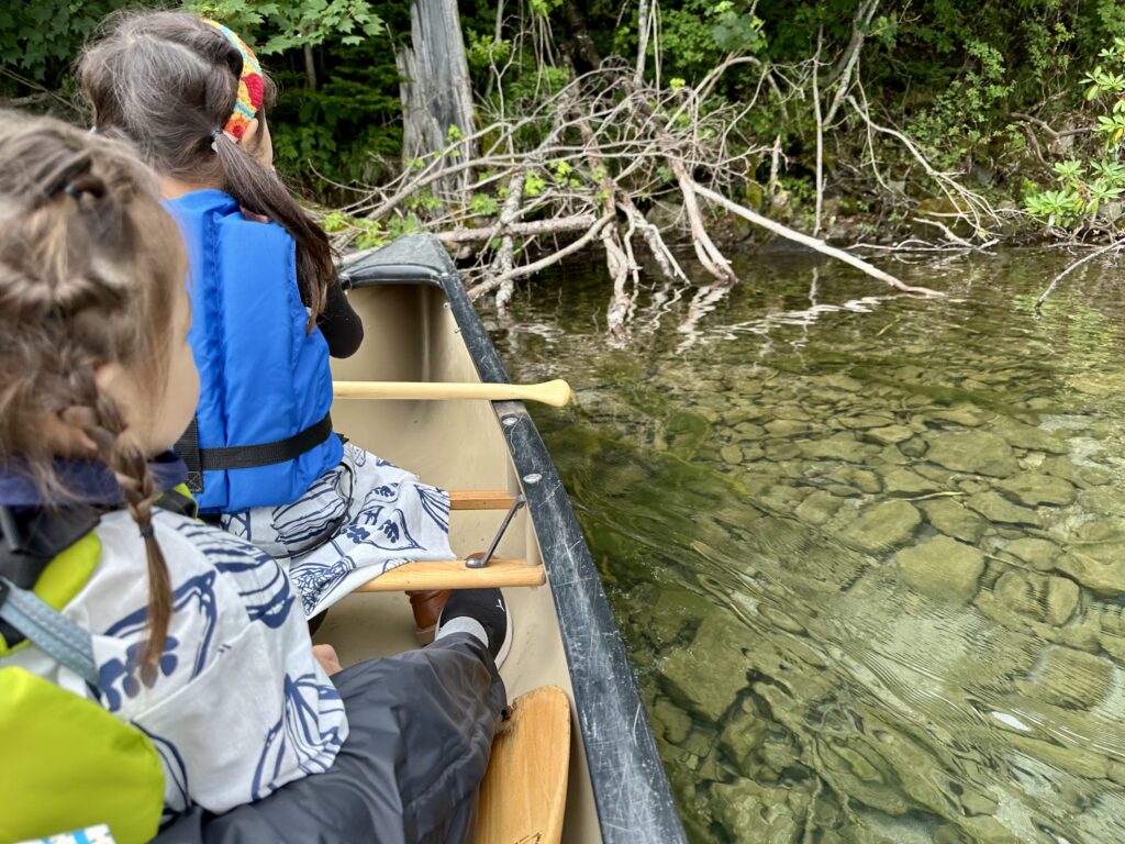 湖の透明度が分かる写真