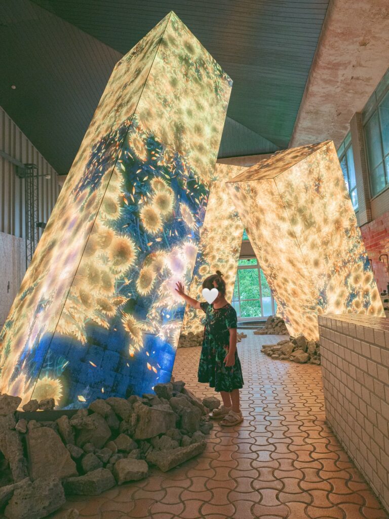 チームラボの写真