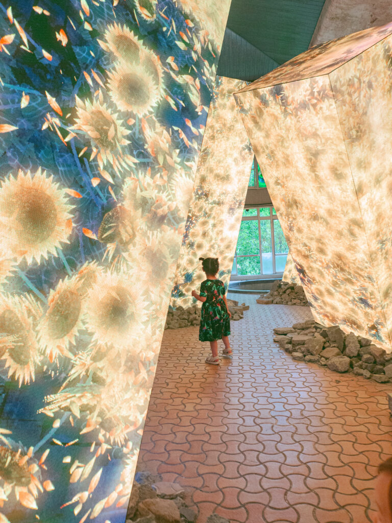 チームラボの写真