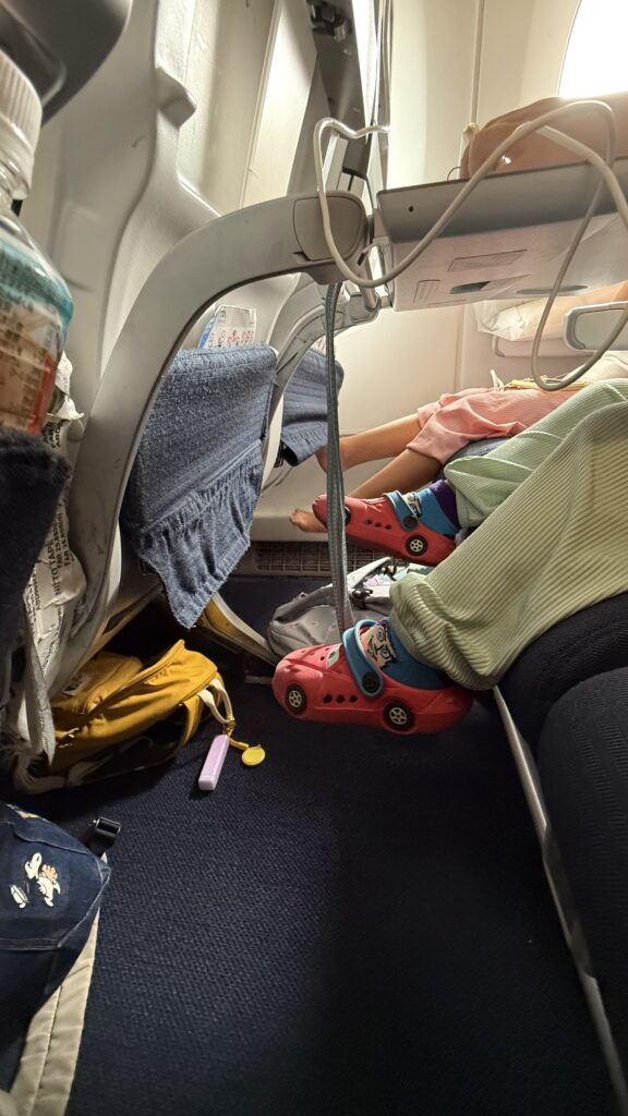 機内の座席の様子