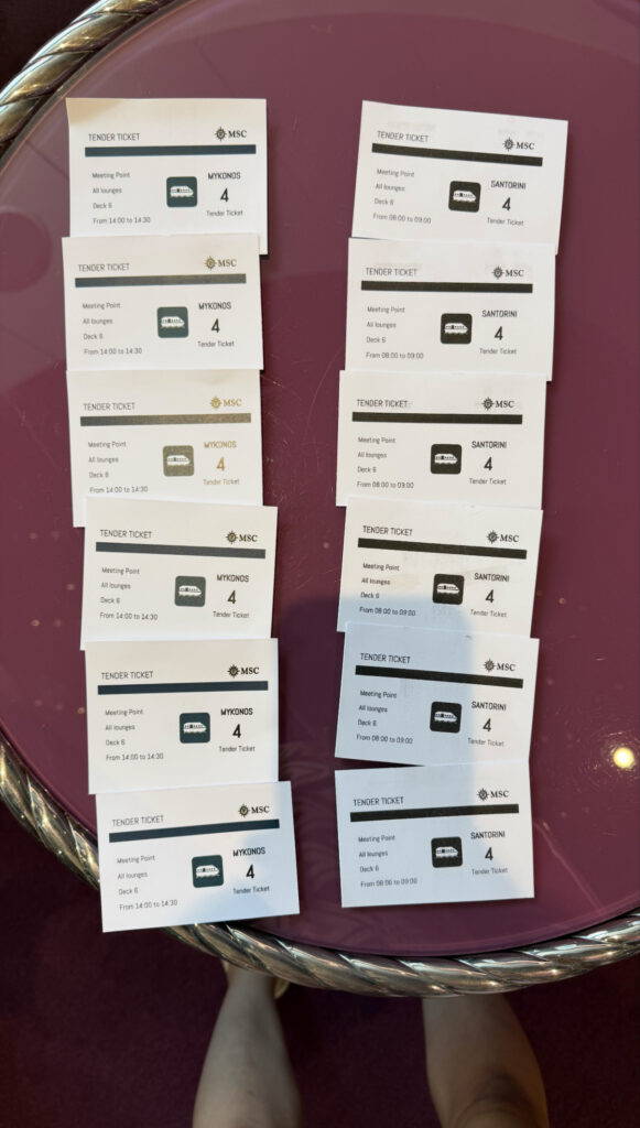 テンダーボートチケット