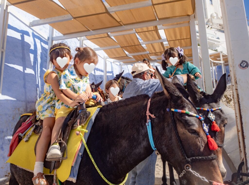 フィラ（Fira）　ドンキー