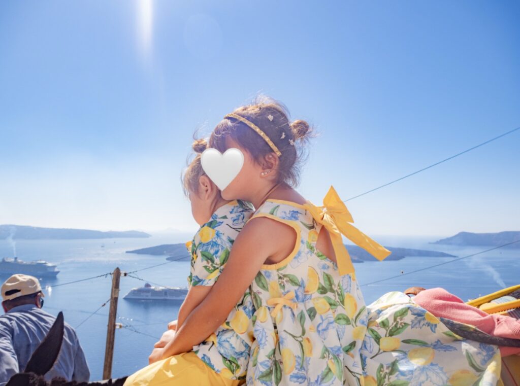 フィラ（Fira）　ドンキー