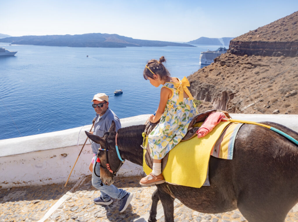 フィラ（Fira）　ドンキー