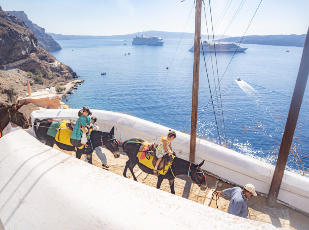 フィラ（Fira）　ドンキー