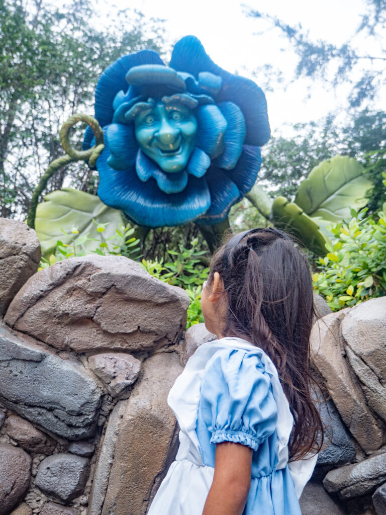 不思議の国のアリスエリア