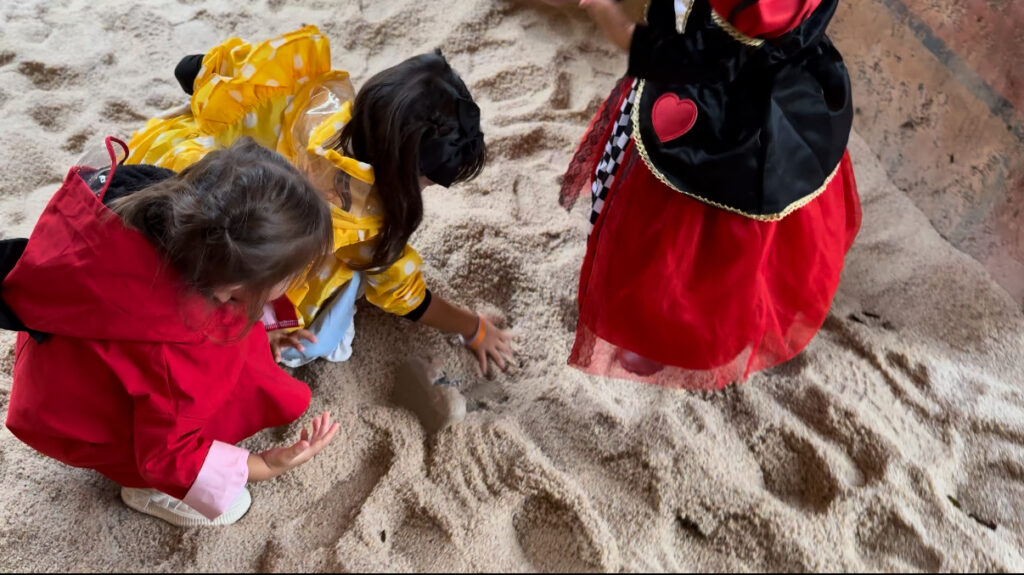 キャンプ・ディスカバリー