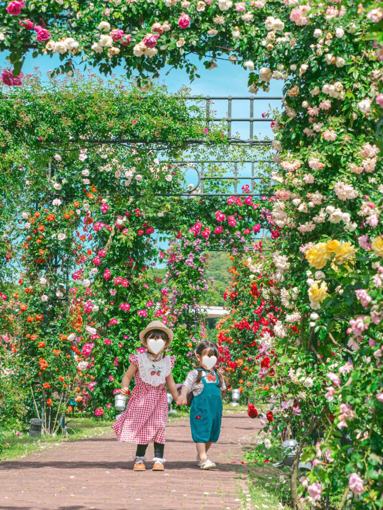 バラ園の写真