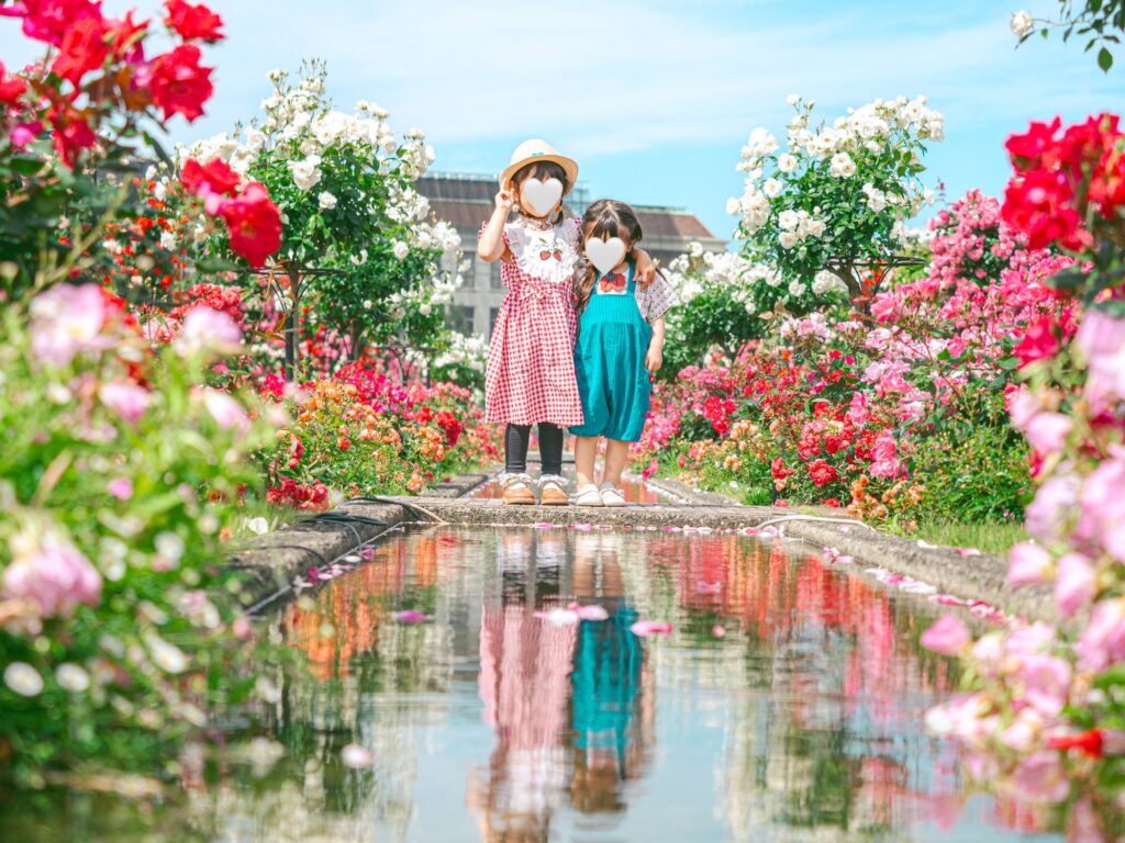 バラ園リフレクション