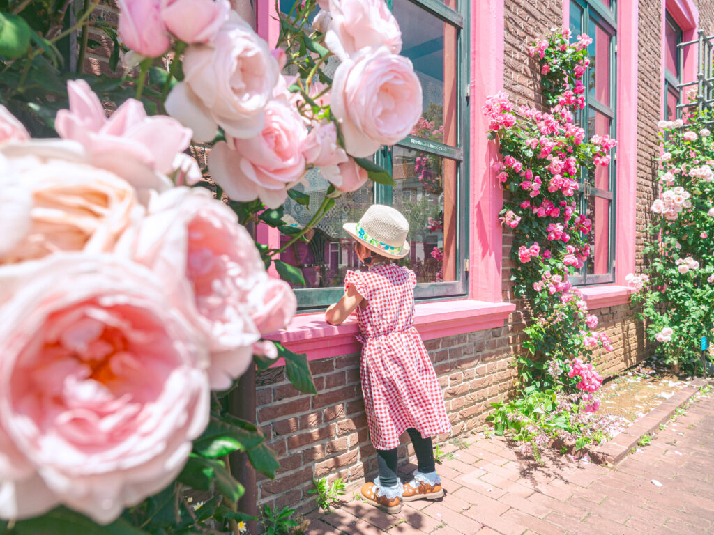 フラワーファンタジアの