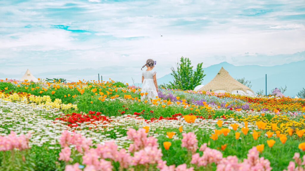 くじゅう花公園
